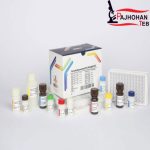 T3 96Tپیشتاز طب