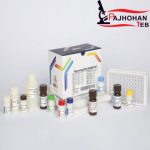 T4 96Tپیشتاز طب