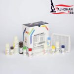 HCG-R 96Test پیشتاز طب