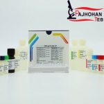 کیت CMV IgG 96Tپیشتاز طب