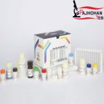 کیت Ferritin  96T پیشتاز طب