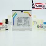 کیت HIV 1&2 96Tنسل 4 پیشتاز طب