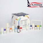 96T VitaminD3 پیشتاز طب